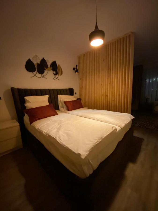 Dream Studio Silver Mountain Apartment โปยานาบราซอฟ ภายนอก รูปภาพ